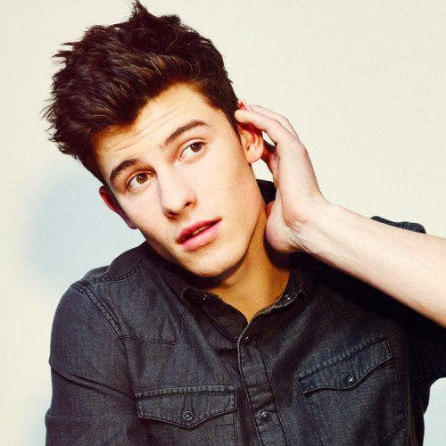Your life with Shawn Mendes *Story Results* Quiz Quotev