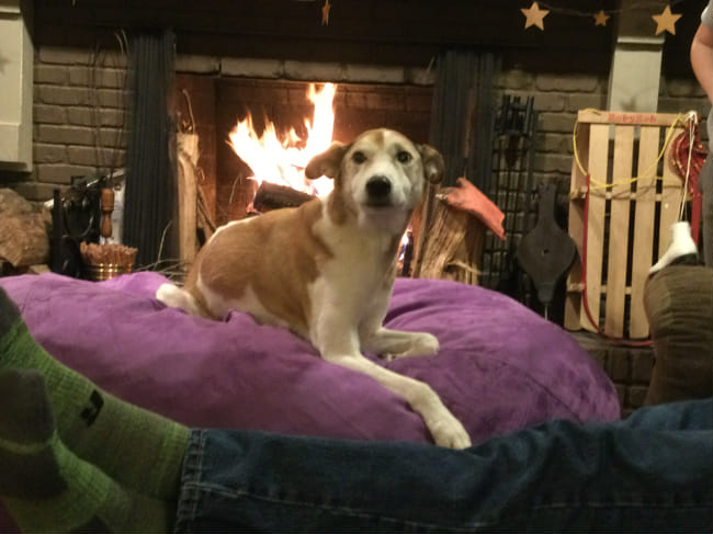 Competition freaks essay 03 picture