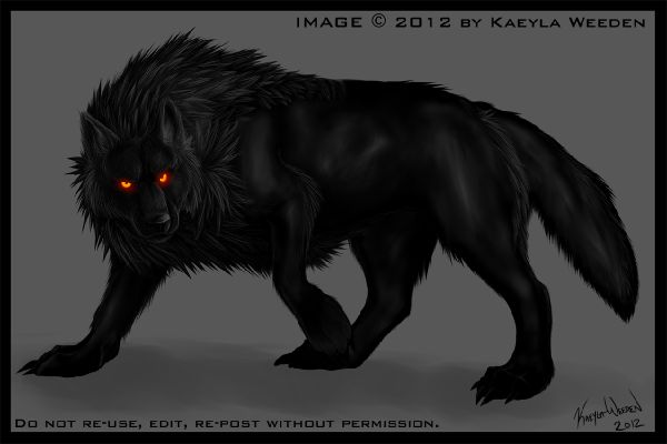 black alpha wolf with red eyes