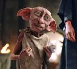 Write A Letter To Dobby And See What He Thinks Of You - Quiz 