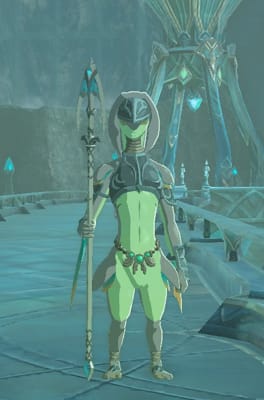 Zelda BotW NPC Quiz! - Test | Quotev