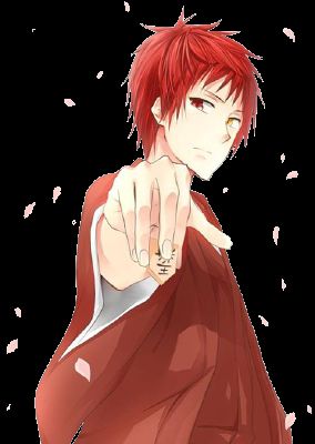 Akashi Seijuro x Reader: Delicate, Knb x Reader [One-shots]