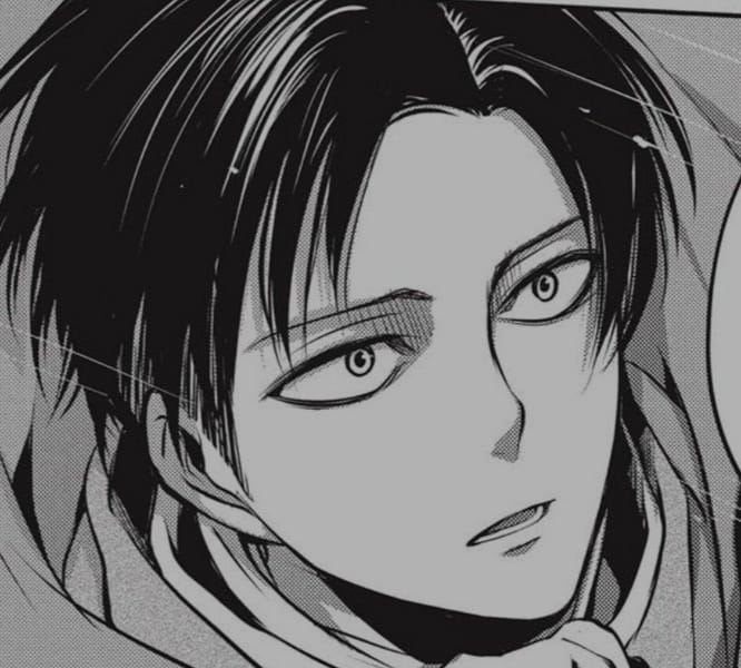 Levi Ackerman | Quotev