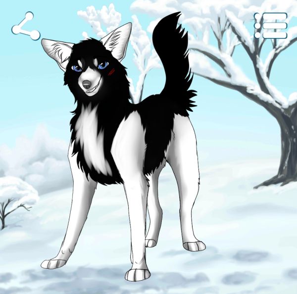 Are you A Therian?  Animal quiz, Beautiful wolves, Cartoon wolf