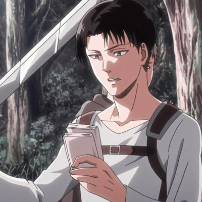 How Levi Ackerman feels for you? (Will you win Levi's heart?) - Quiz ...