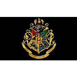 Your Hogwarts Life (for people attracted to guys + girls) - Quiz | Quotev