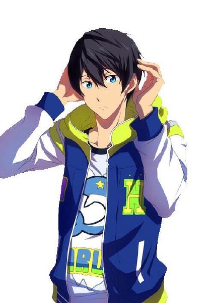 Does anyone know of Free! Iwatobi Swim Club? I think you'll like