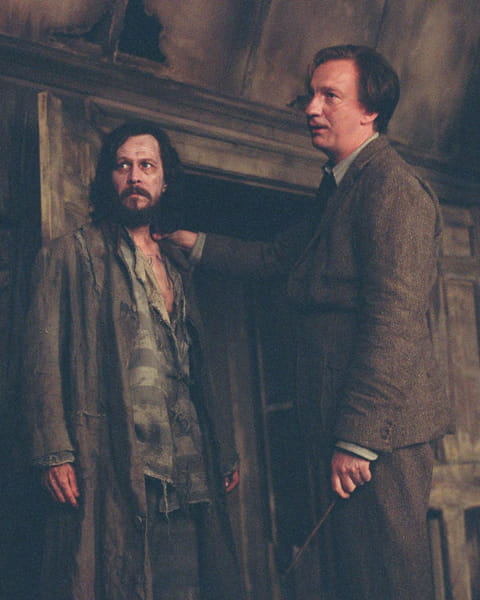 Sirius Black or Remus Lupin? - Quiz | Quotev