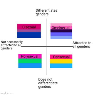 Which Bisexual Microlabel Are You? - Quiz | Quotev