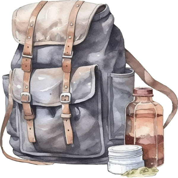 React to Starter Pack Memes Survey Quotev