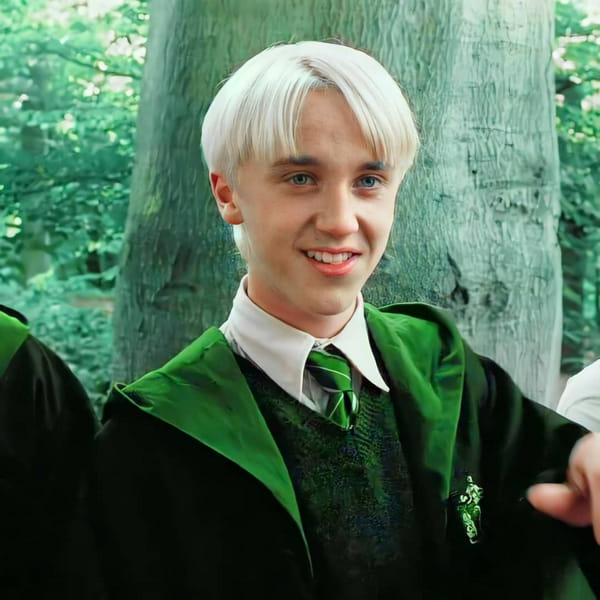 Does Draco Malfoy have a Crush on You? - Quiz | Quotev