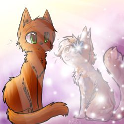 FlameStar🇺🇦 on X: Firestar, Graystripe and Ravenpaw