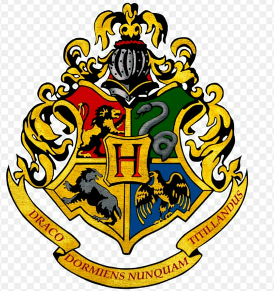 What is your hogwarts house - Quiz | Quotev