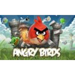 what angry bird are you