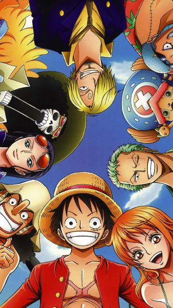 one piece x reader