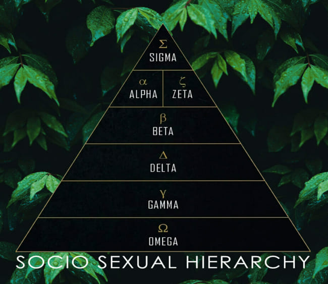 what type of male Quiz Quotev