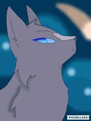 Chapter Two: Bluestar's Audition.