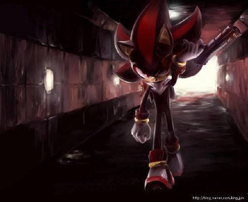 Shadow the Hedgehog Escape