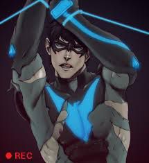 young justice dick grayson gymnastics