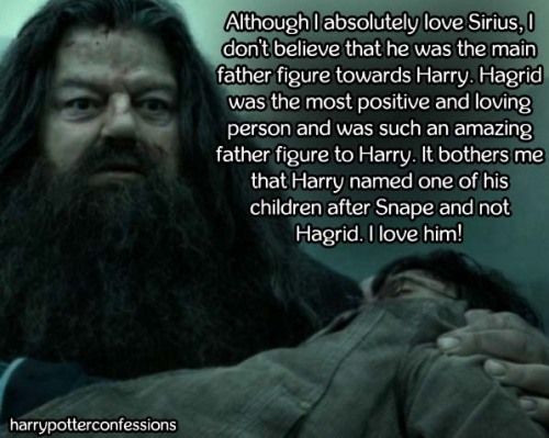 Uncle?, Harry Potter: The Friend And Foe
