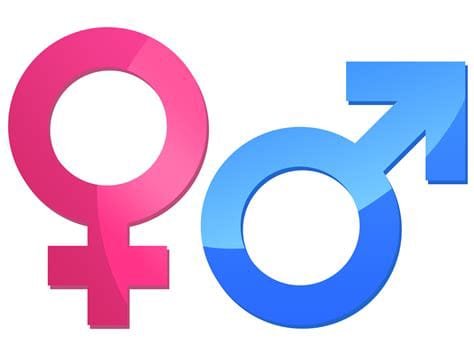 Whats Your Gender? - Quiz | Quotev