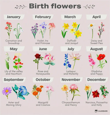 What flower are you - Quiz | Quotev