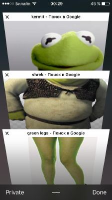 anaconda meme kermit