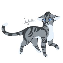 Warrior Cats || How Well Do You Know Jayfeather? - Test | Quotev