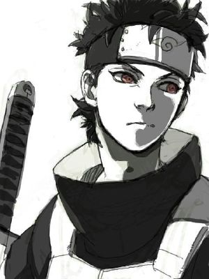 How long was the cool down time for Shisui before he could use his