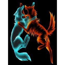 коты воители огнезвёзд. огненный кот. коты воители огнезвёзд. огонь и вода. огонь вода коты.