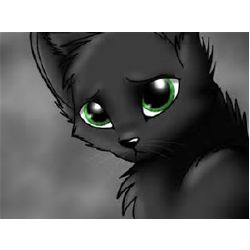 What is your Warrior Cat Name/Personality/Life?(FINISHED 15/12