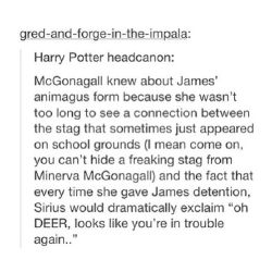 Harry Potter Headcanons | Quotev