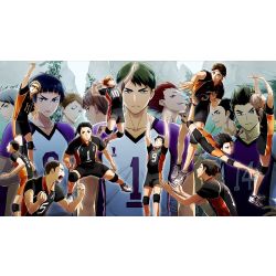 escolha e te darei um namorado de Haikyuu! - Quiz