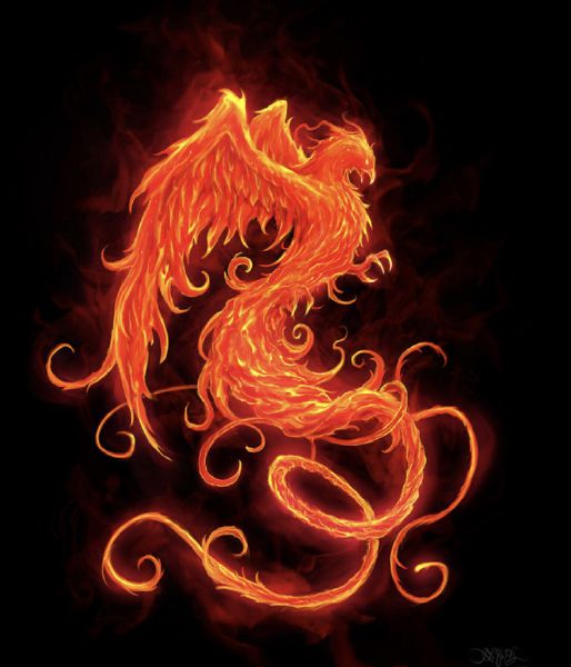 Phoenix | Quotev