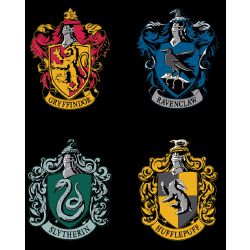 Which Harry Potter House are you? - Quiz | Quotev