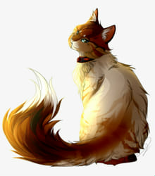 Create a Cat: Warrior Cat Maker