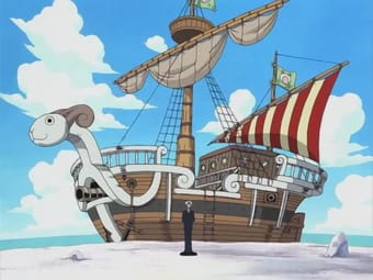 Would you survive in the world of One Piece? - Quiz | Quotev