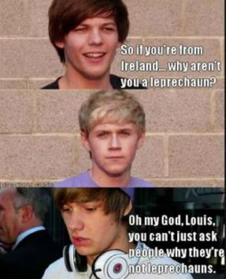 LEPRECHAUN | One Direction Funny Memes | Quotev