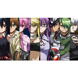 Which 'Akame ga Kill' Character Are You?