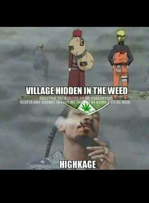 Snoop dogg is the highkage | Random memes I thought were funny