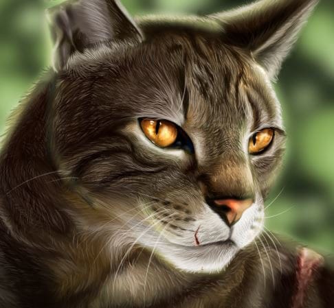 Are you worthy of being besties with BrambleStar? | Warrior Cats - Quiz ...