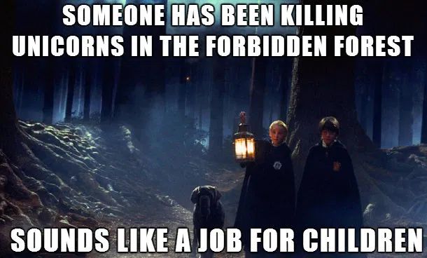 25 Memes Proving Lord Voldemort Was Less Than Intimidating As a