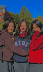 Your profile in a kpop girl group - Quiz | Quotev