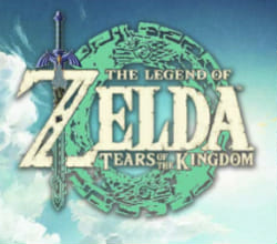 which the legend of zelda: tears of the kingdom character are you ...