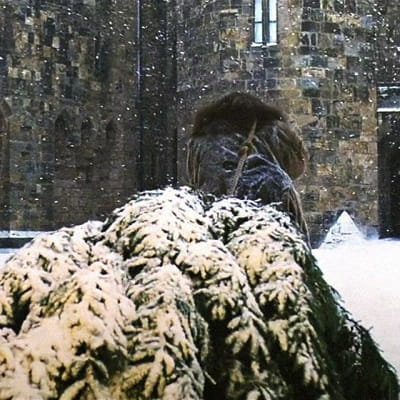 Hogwarts secret santa - Quiz | Quotev