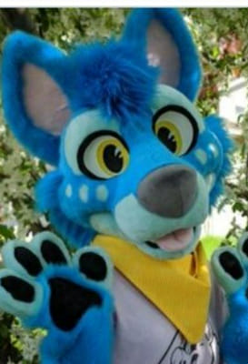 What is your fursona? (A furry test) - Quiz | Quotev
