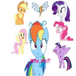 my little pony rainbow dash and soarin kids