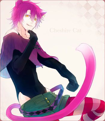 Buy Cheshire Cat Anime Print and Badge Set Online in India  Etsy