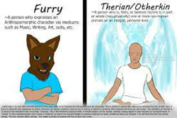 Are you a furrie or therian? - Quiz