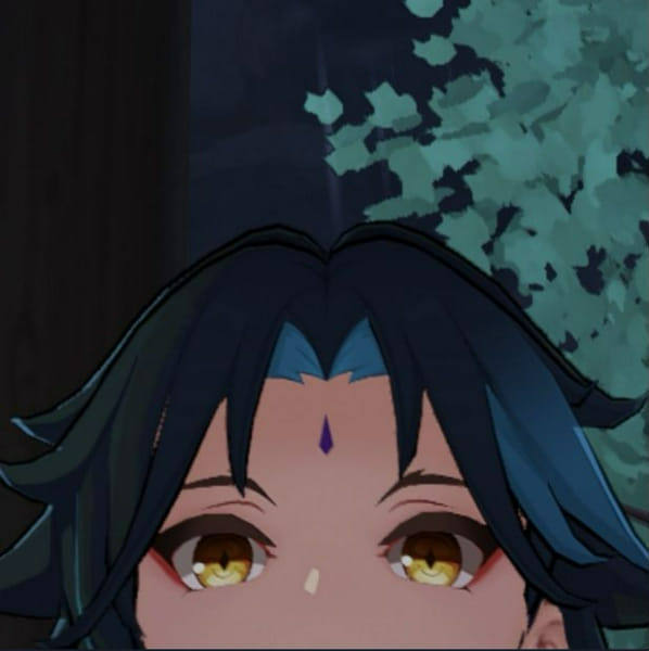 do a commission and meet xiao Quiz Quotev